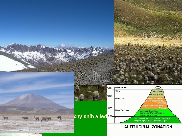 Výškové stupně v Andách § Tierra caliente / horká země / – do 1000