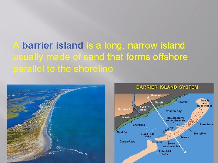 A barrier island is a long, narrow island usually made of sand that forms