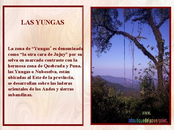 LAS YUNGAS La zona de “Yungas” es denominada como “la otra cara de Jujuy”