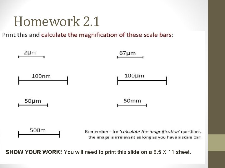 Homework 2. 1 SHOW YOUR WORK! You will need to print this slide on