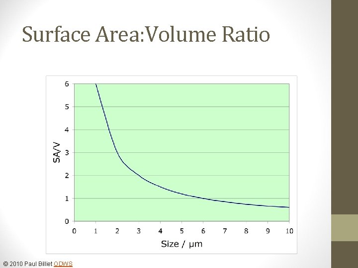 Surface Area: Volume Ratio © 2010 Paul Billiet ODWS 