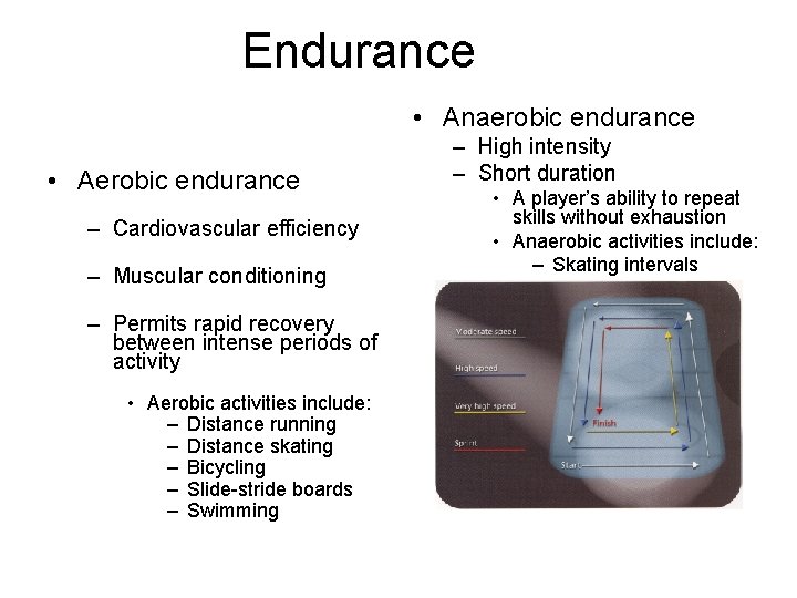 Endurance • Anaerobic endurance • Aerobic endurance – Cardiovascular efficiency – Muscular conditioning –