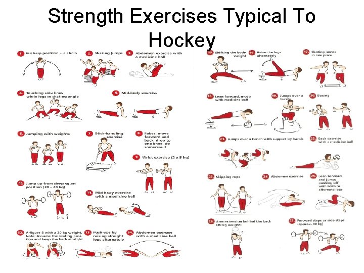 Strength Exercises Typical To Hockey 
