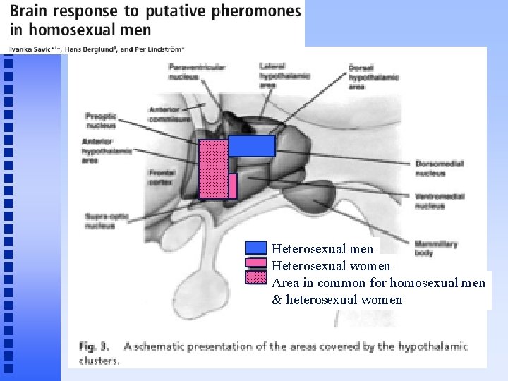 Heterosexual men Heterosexual women Area in common for homosexual men & heterosexual women 