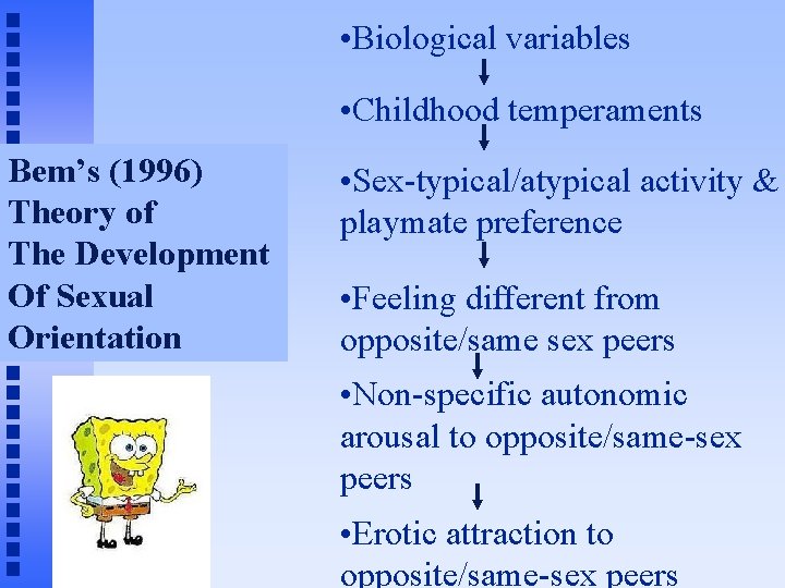  • Biological variables • Childhood temperaments Bem’s (1996) Theory of The Development Of