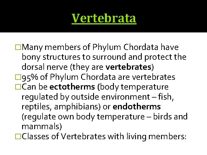 Vertebrata �Many members of Phylum Chordata have bony structures to surround and protect the