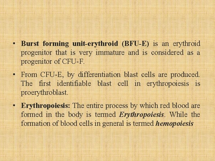  • Burst forming unit-erythroid (BFU-E) is an erythroid progenitor that is very immature