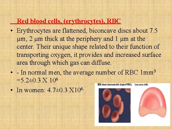 Red blood cells, (erythrocytes), RBC • Erythrocytes are flattened, biconcave discs about 7. 5