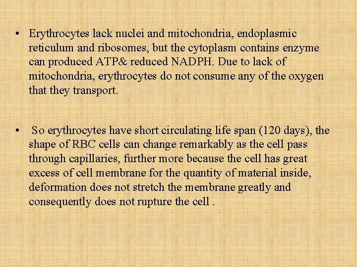  • Erythrocytes lack nuclei and mitochondria, endoplasmic reticulum and ribosomes, but the cytoplasm