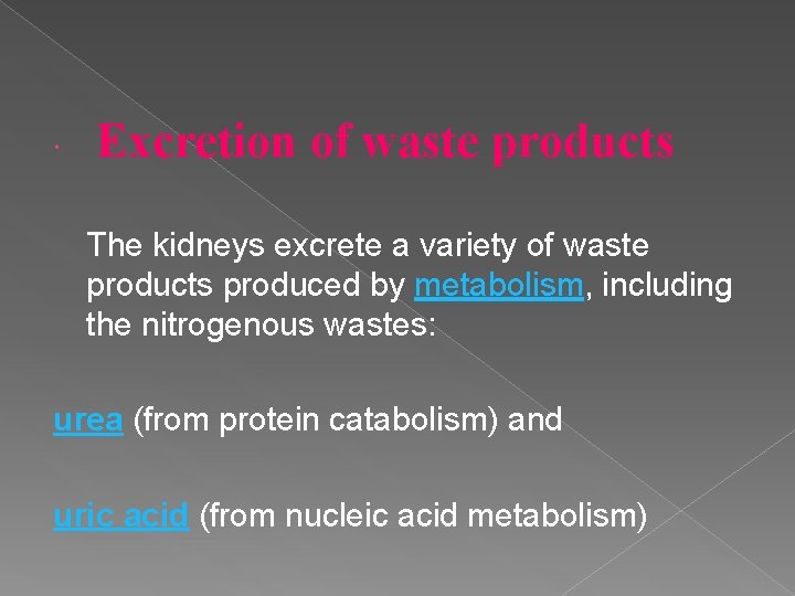  Excretion of waste products The kidneys excrete a variety of waste products produced