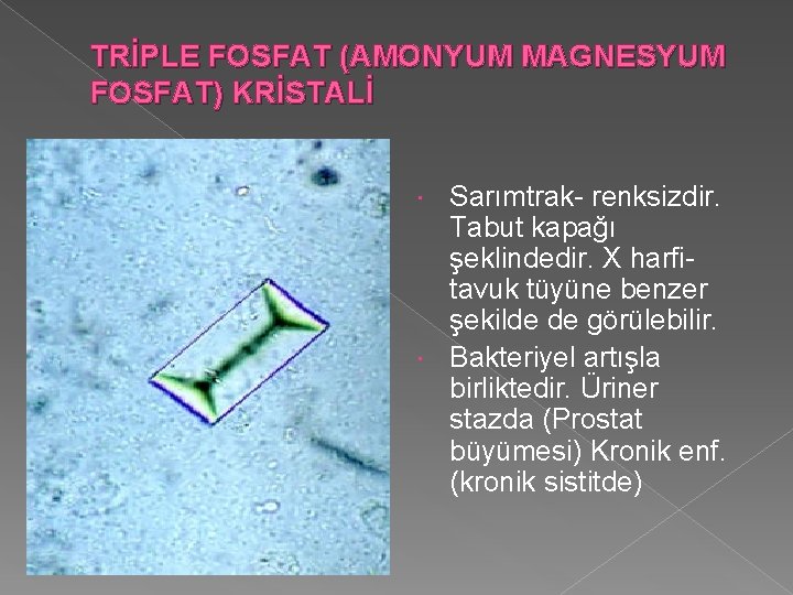 TRİPLE FOSFAT (AMONYUM MAGNESYUM FOSFAT) KRİSTALİ Sarımtrak- renksizdir. Tabut kapağı şeklindedir. X harfitavuk tüyüne