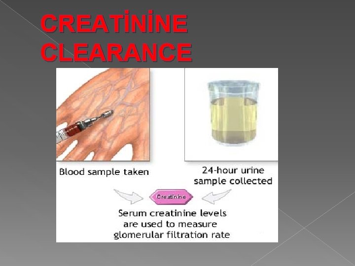 CREATİNİNE CLEARANCE 