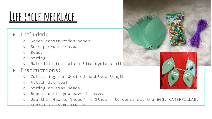 Life cycle necklace ● Included: ○ ○ ○ Green construction paper Some pre-cut leaves