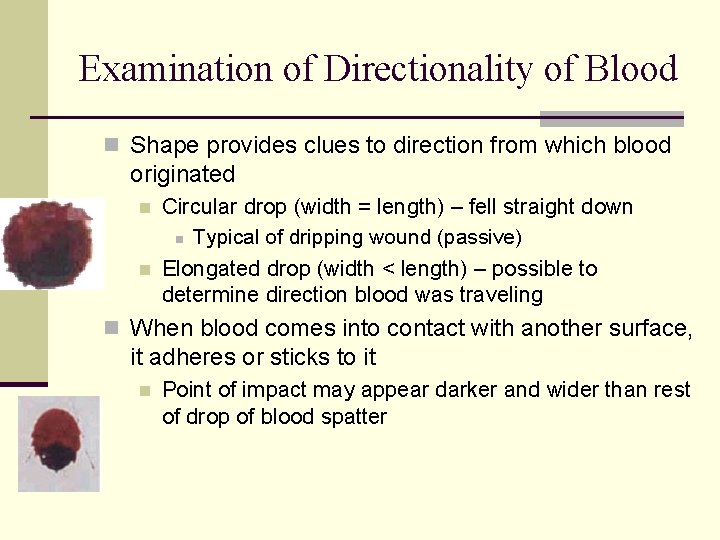 Examination of Directionality of Blood n Shape provides clues to direction from which blood