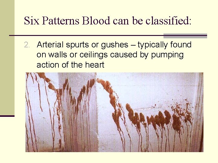 Six Patterns Blood can be classified: 2. Arterial spurts or gushes – typically found Six Patterns Blood can be classified: 2. Arterial spurts or gushes – typically found