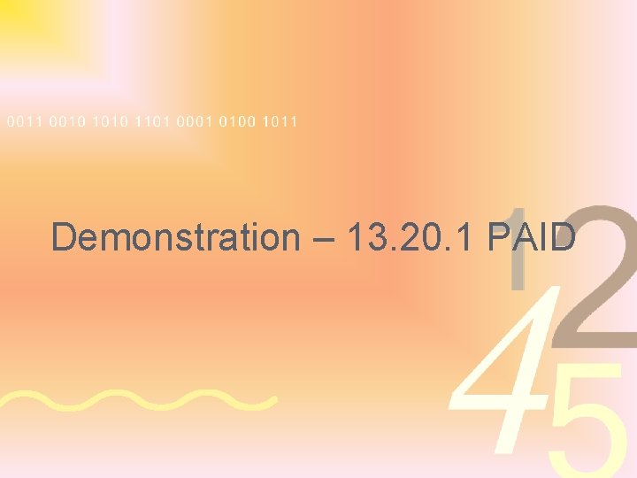 Demonstration – 13. 20. 1 PAID 