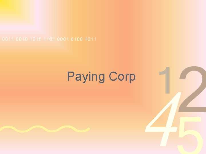Paying Corp 