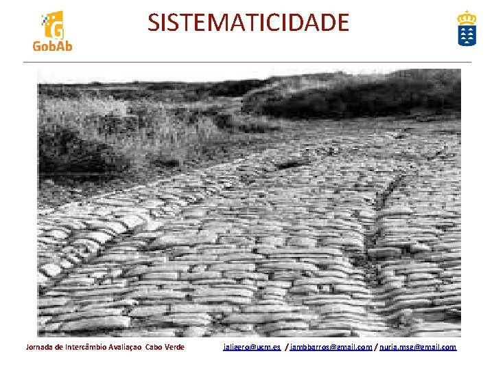 SISTEMATICIDADE Jornada de Intercâmbio Avaliaçao Cabo Verde jaligero@ucm. es / jambbarros@gmail. com / nuria.