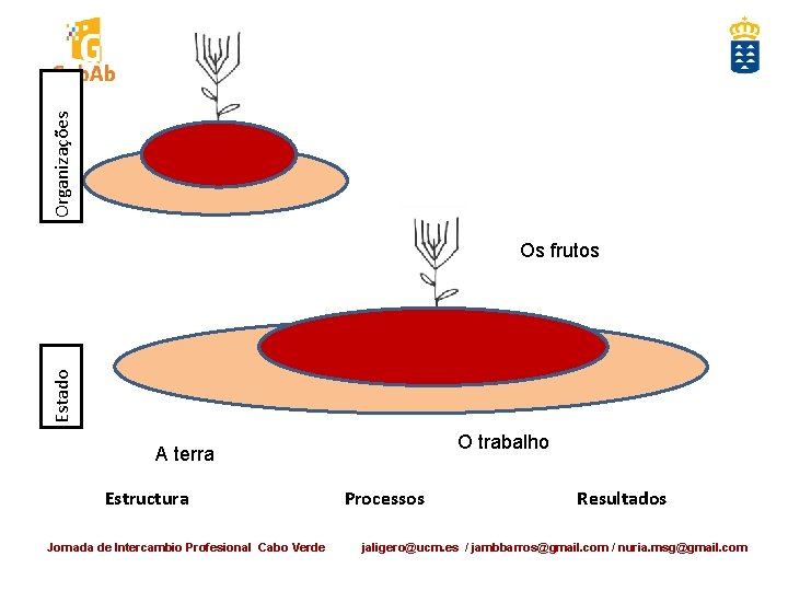 Organizações Estado Os frutos O trabalho A terra Estructura Jornada de Intercambio Profesional Cabo