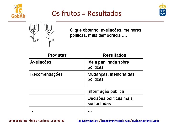 Os frutos = Resultados O que obtenho: avaliações, melhores políticas, mais democracia , …