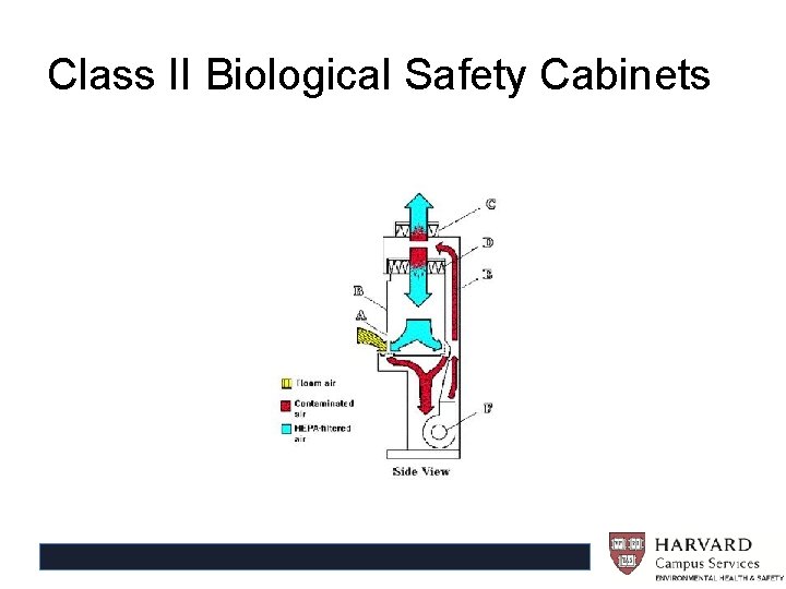 Class II Biological Safety Cabinets 