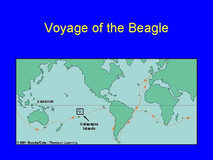 Voyage of the Beagle EQUATOR Galapagos Islands 