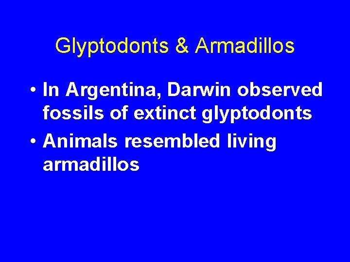 Glyptodonts & Armadillos • In Argentina, Darwin observed fossils of extinct glyptodonts • Animals