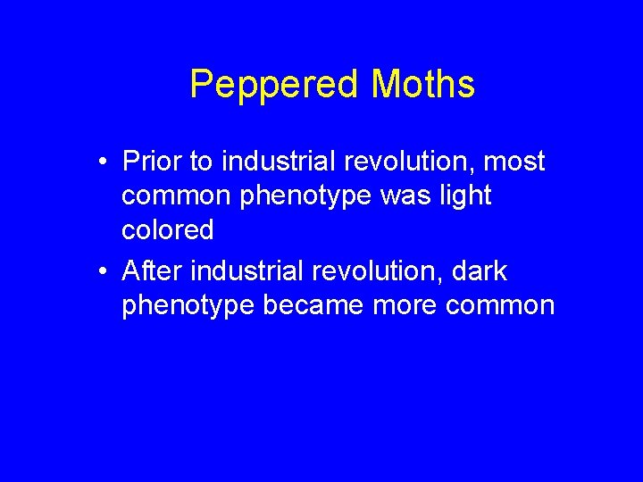 Peppered Moths • Prior to industrial revolution, most common phenotype was light colored •