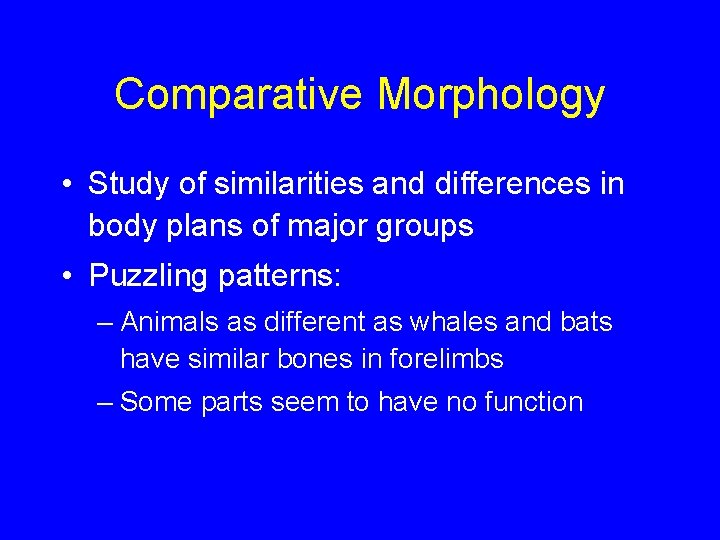 Comparative Morphology • Study of similarities and differences in body plans of major groups