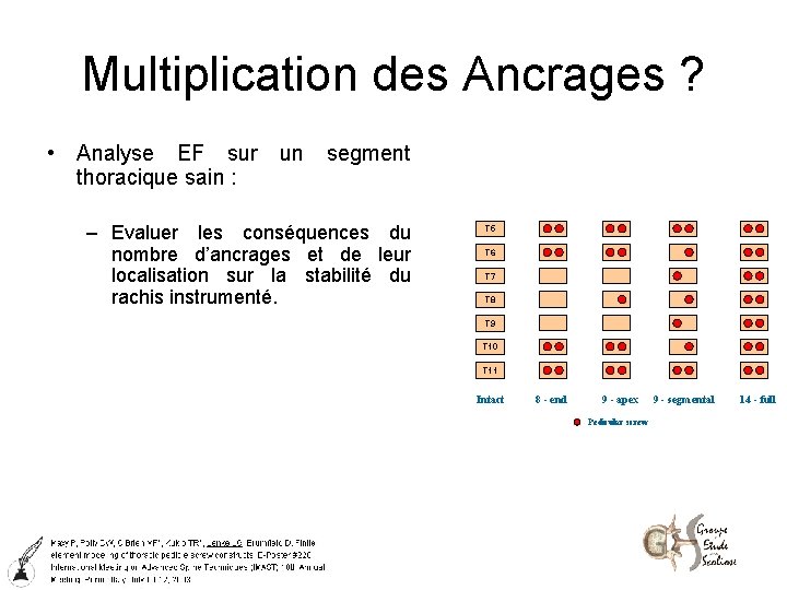 Multiplication des Ancrages ? • Analyse EF sur un segment thoracique sain : –