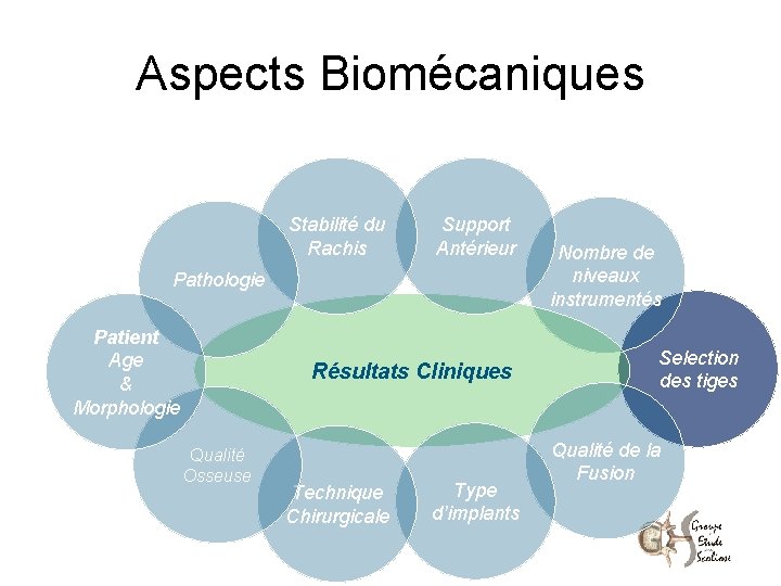 Aspects Biomécaniques Stabilité du Rachis Support Antérieur Pathologie Patient Age & Morphologie Résultats Cliniques