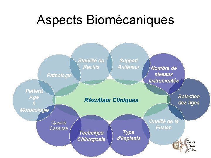 Aspects Biomécaniques Stabilité du Rachis Support Antérieur Pathologie Patient Age & Morphologie Résultats Cliniques