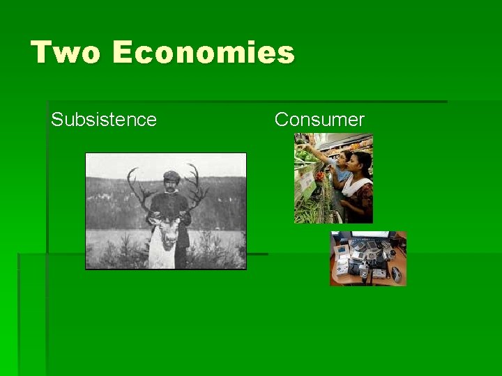 Two Economies Subsistence Consumer 