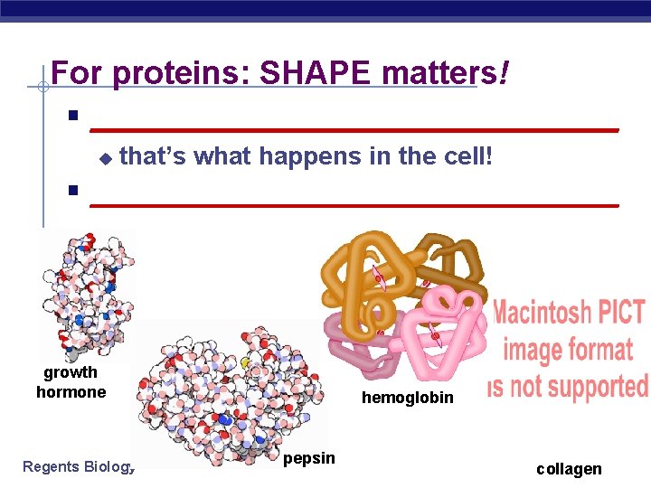 For proteins: SHAPE matters! § __________________ u that’s what happens in the cell! §