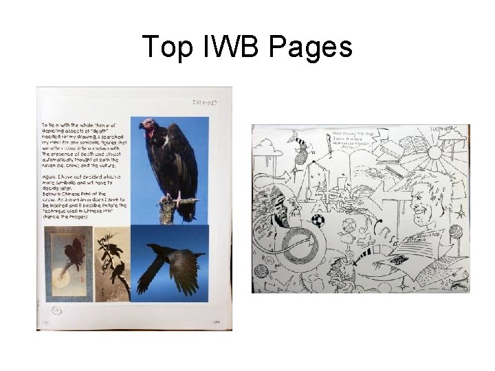 Top IWB Pages 