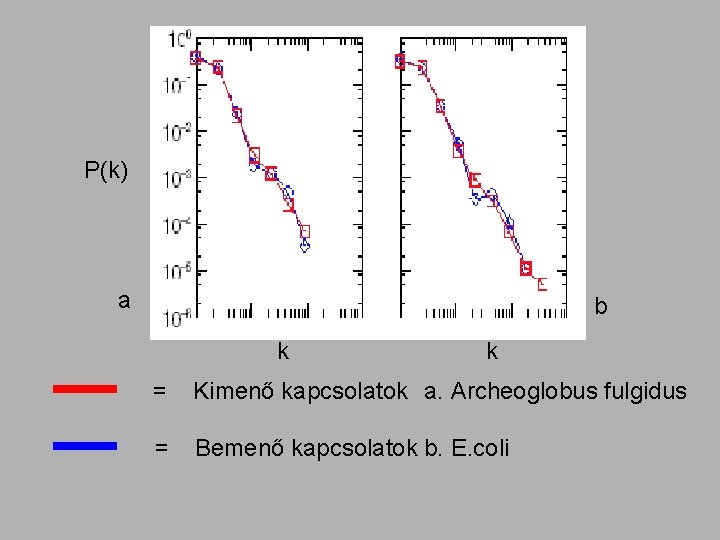 P(k) a b k k = Kimenő kapcsolatok a. Archeoglobus fulgidus = Bemenő kapcsolatok