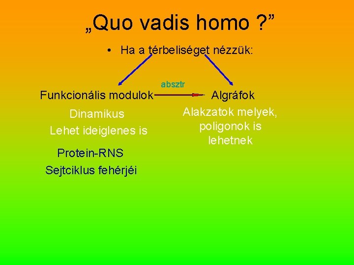 „Quo vadis homo ? ” • Ha a térbeliséget nézzük: Funkcionális modulok Dinamikus Lehet