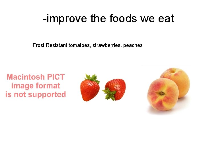 -improve the foods we eat Frost Resistant tomatoes, strawberries, peaches 