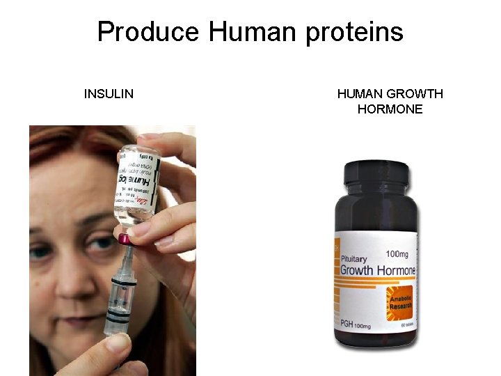 Produce Human proteins INSULIN HUMAN GROWTH HORMONE 