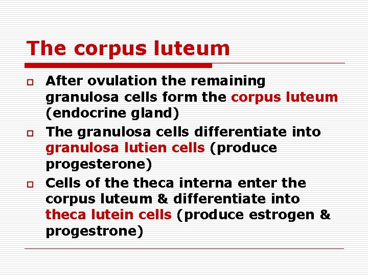 The corpus luteum o o o After ovulation the remaining granulosa cells form the