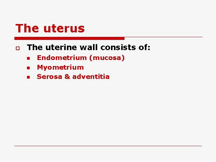 The uterus o The uterine wall consists of: n n n Endometrium (mucosa) Myometrium