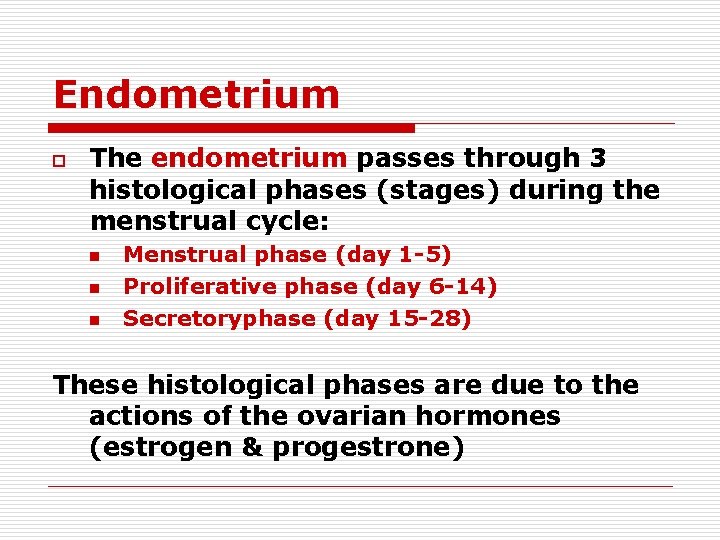 Endometrium o The endometrium passes through 3 histological phases (stages) during the menstrual cycle: