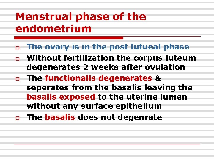 Menstrual phase of the endometrium o o The ovary is in the post lutueal