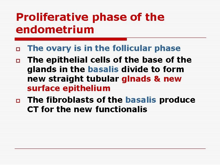 Proliferative phase of the endometrium o o o The ovary is in the follicular