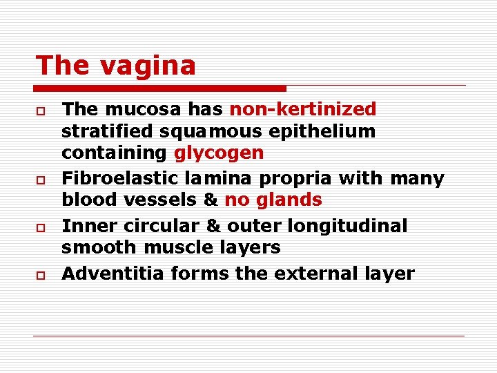 The vagina o o The mucosa has non-kertinized stratified squamous epithelium containing glycogen Fibroelastic