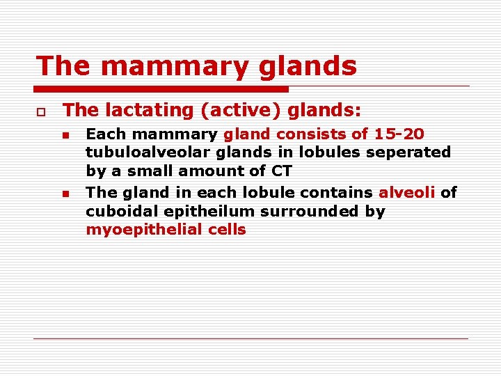 The mammary glands o The lactating (active) glands: n n Each mammary gland consists