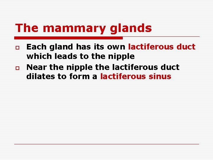 The mammary glands o o Each gland has its own lactiferous duct which leads