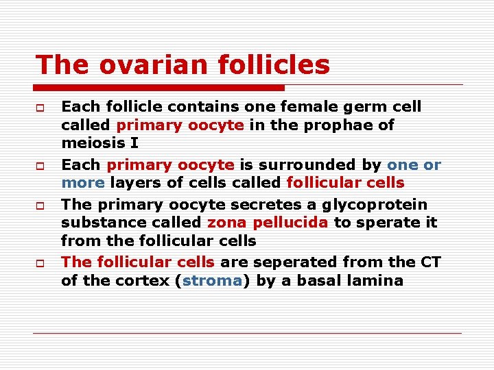The ovarian follicles o o Each follicle contains one female germ cell called primary