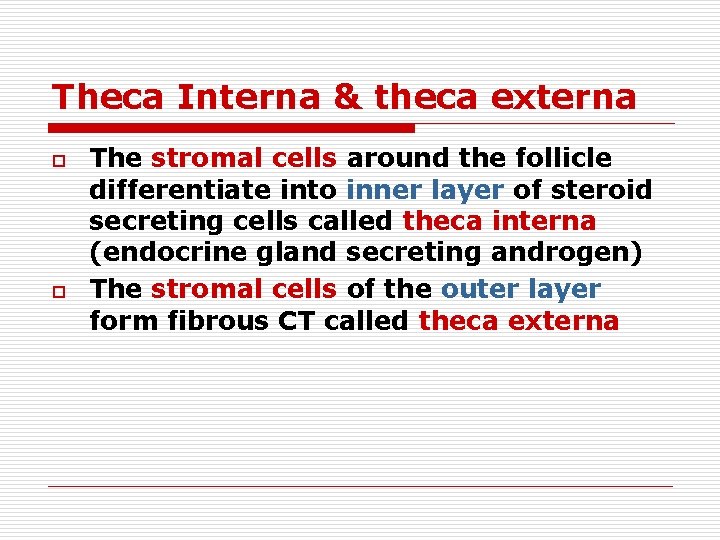 Theca Interna & theca externa o o The stromal cells around the follicle differentiate