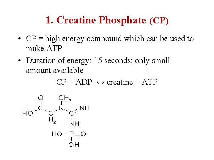 1. Creatine Phosphate (CP) • CP = high energy compound which can be used
